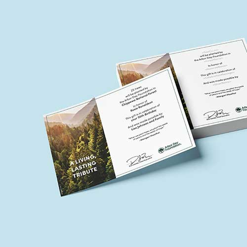 Stack of “A Living, Lasting Tribute” tree certificates and folders displayed on a light blue background.