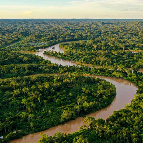 View of the winding Amazon river from above